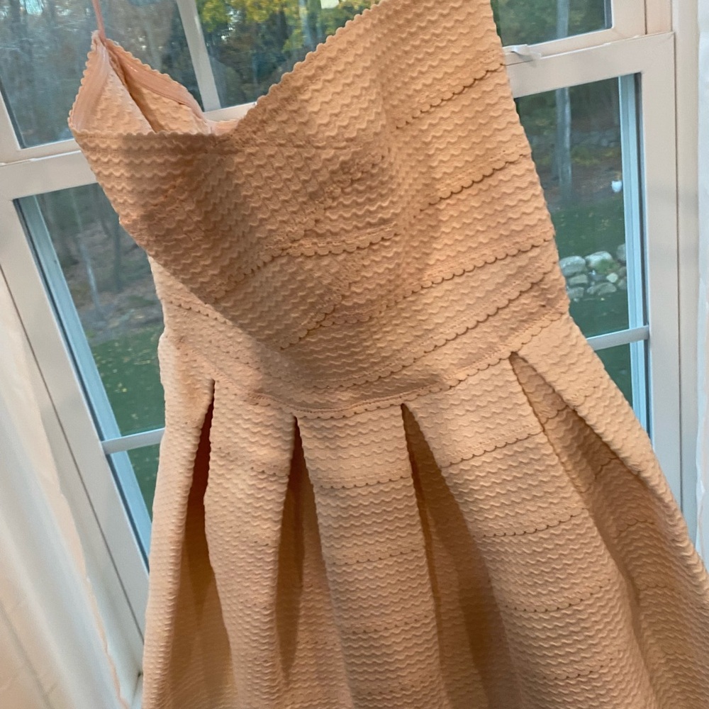 Francesca's Collections Blush Textured Dress